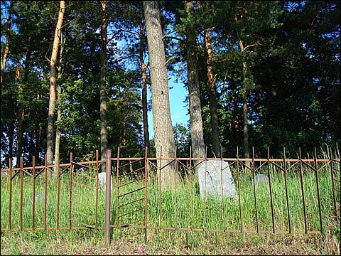 Podbrzezie. Cmentarz żydowski