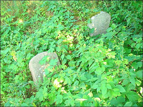 Podbrzezie. Cmentarz żydowski