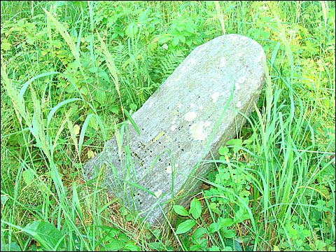 Podbrzezie. Cmentarz żydowski