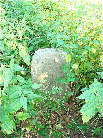 Podbrzezie. Cmentarz żydowski