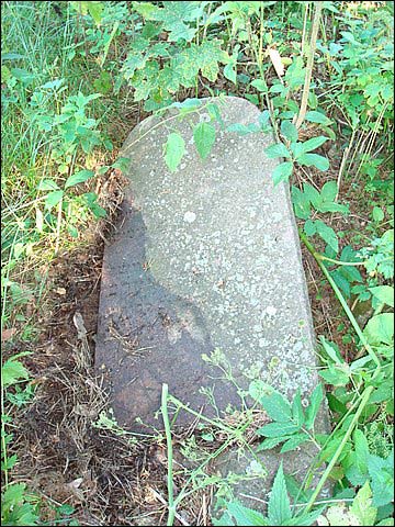 Podbrzezie. Cmentarz żydowski