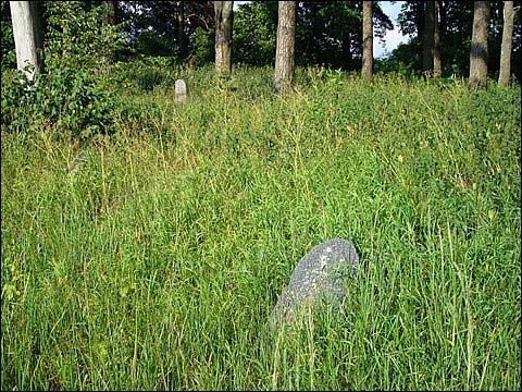 Podbrzezie. Cmentarz żydowski
