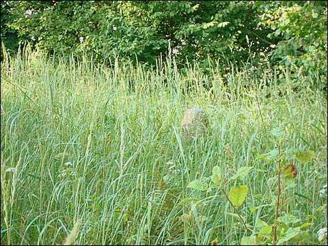 Podbrzezie. Cmentarz żydowski