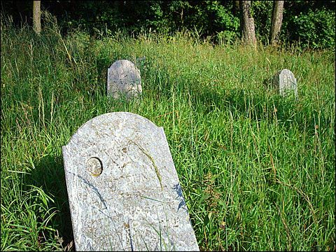 Podbrzezie. Cmentarz żydowski