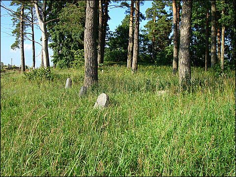 Podbrzezie. Cmentarz żydowski