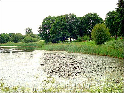  - Zespół dworsko-parkowy Wańkowiczów. Staw