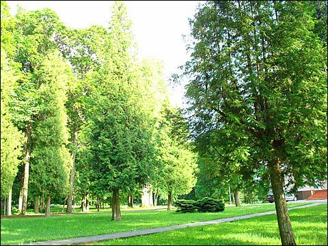  - Dwór Piłsudskich. Fragment parku, 07 2008