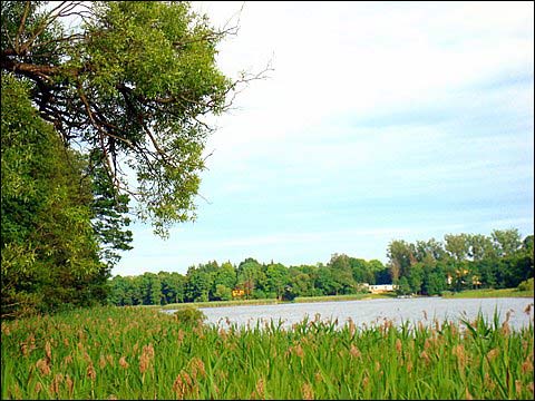  - Dwór Piłsudskich. Jezioro w Piekieliszkach, 07 2008