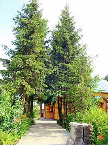 Рудаміна. Могілкі старыя праваслаўныя