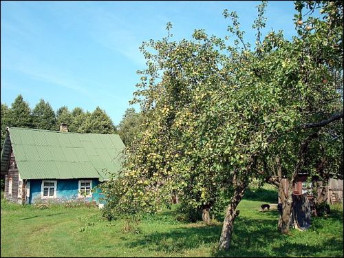 Шыляны. Краявіды 