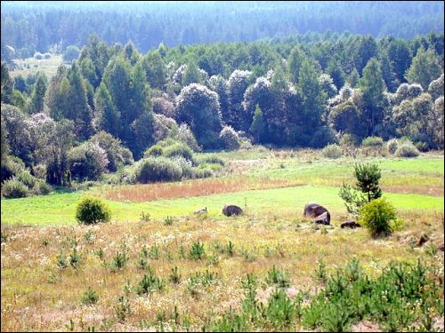 Шыляны. Краявіды 