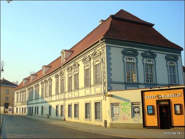  - Pałac Radziwiłłów. 