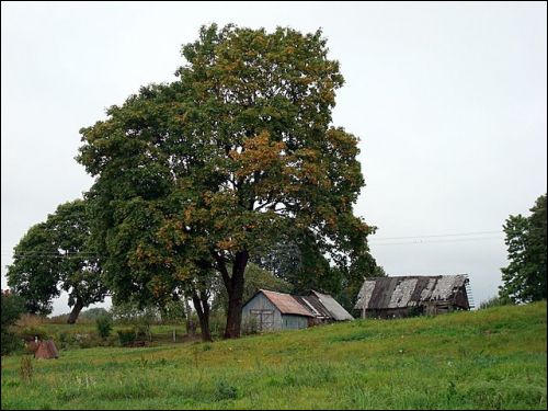  - Пейзажи . Дом в деревне