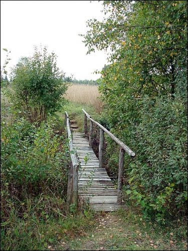  - Пейзажи . Мостик через овраг