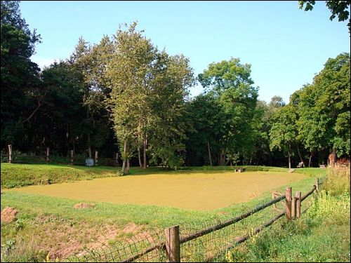  - Dwór . Widok na park
