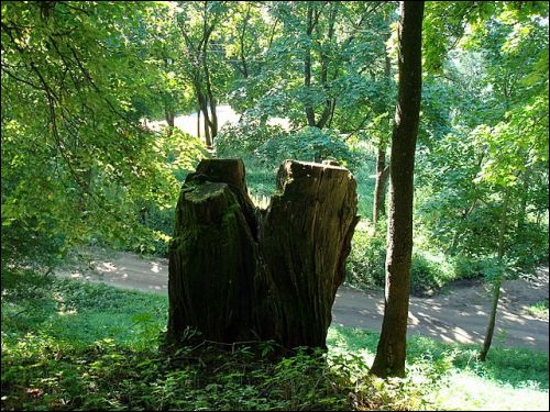  - Dwór . Park