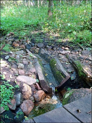 Šilėnai.  Spring