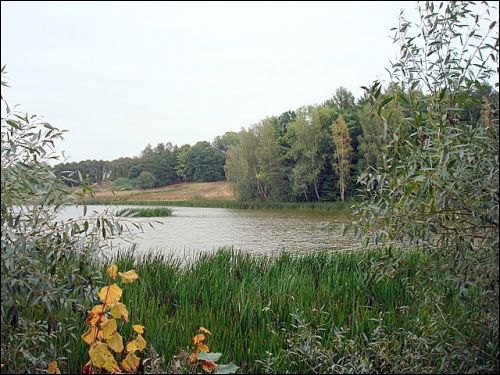 Віжуляны. Сядзібна-паркавы ансамбль Урублеўскіх
