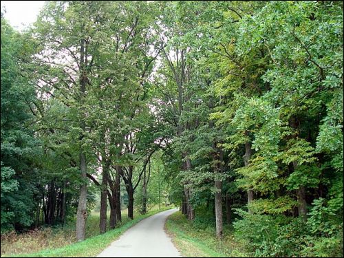 Віжуляны. Сядзібна-паркавы ансамбль Урублеўскіх
