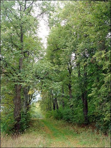 Віжуляны. Сядзібна-паркавы ансамбль Урублеўскіх