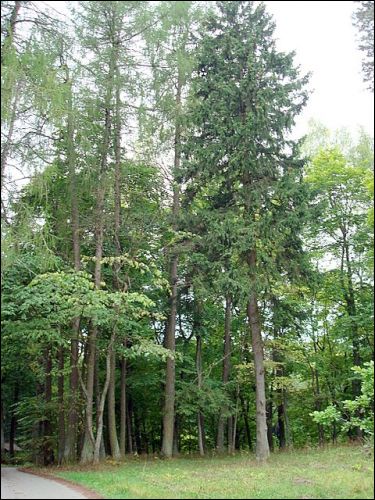 Віжуляны. Сядзібна-паркавы ансамбль Урублеўскіх