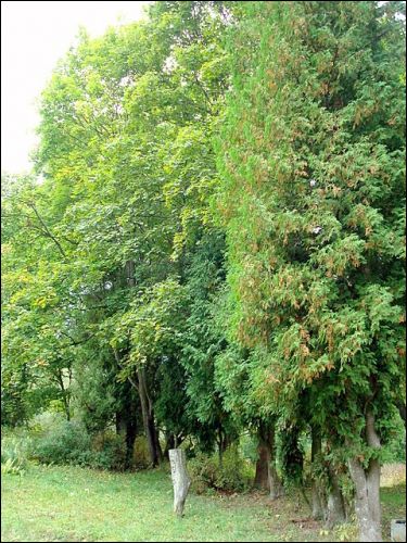 Віжуляны. Сядзібна-паркавы ансамбль Урублеўскіх