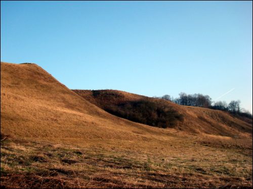Kiernów.  Rezerwat historyczno-archeologiczny