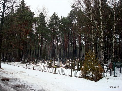 Paluknys. In the village