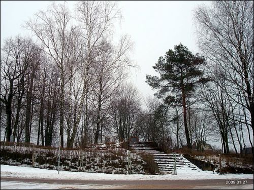 Paluknys. In the village