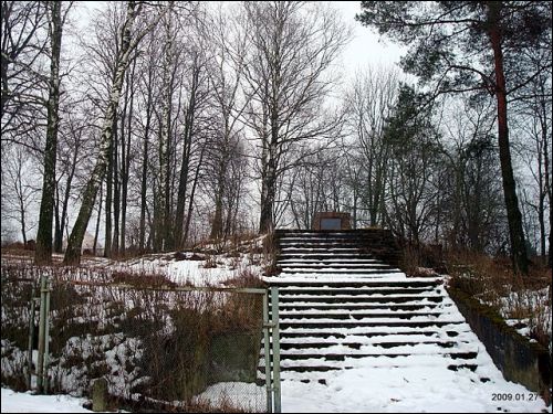 Paluknys. In the village