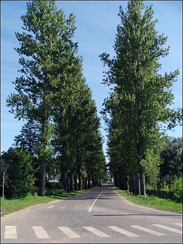  - Улицы города . 