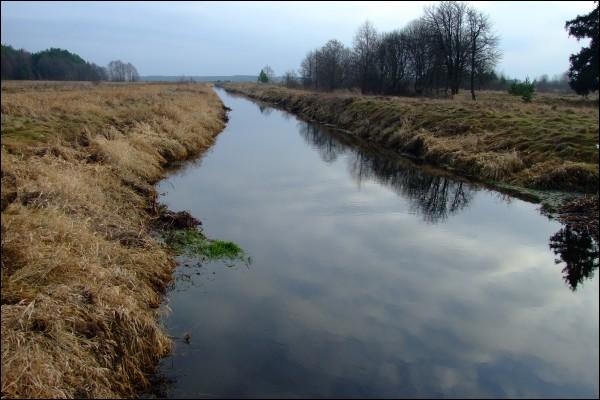  - Пейзажи . Речка Нявиша