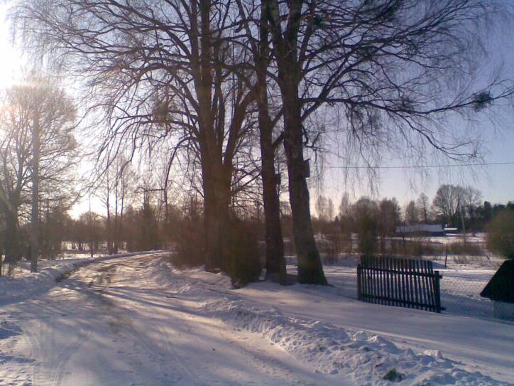 Jakubowicze. Krajobrazy 