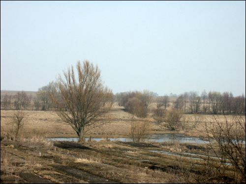  - Landscapes . 