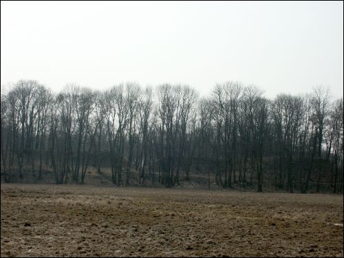  - Landscapes . 