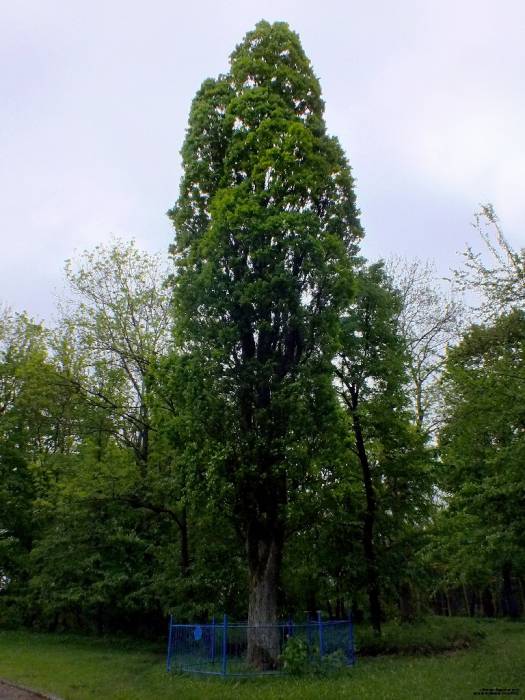  - Улицы города . 