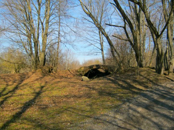Новае Гарадзішча. Прысядзібны парк 