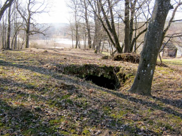 Новае Гарадзішча. Прысядзібны парк 