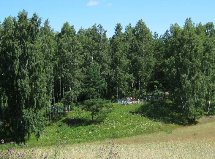  - Grodzisko . 