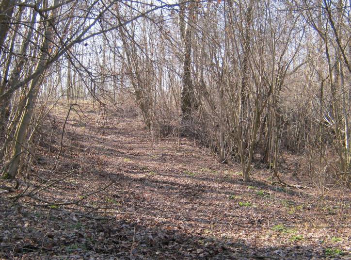  - Grodzisko . 