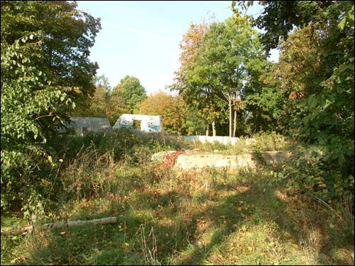 Piacieŭščyna. Manor of Samueleŭ