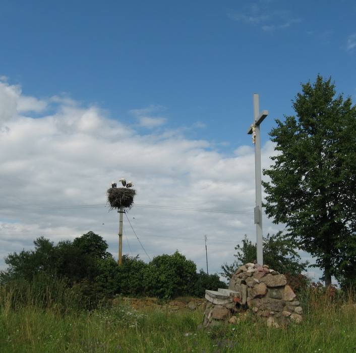 Aborak (Pałačany). Catholic church of the Assumption of the Blessed Virgin Mary and St. Roch