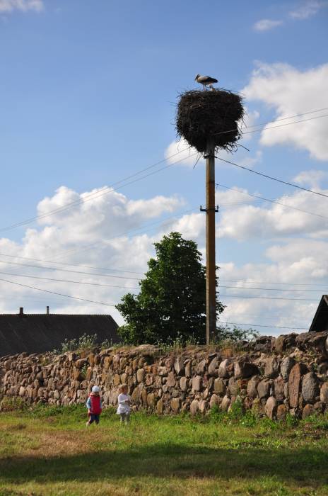 Aborak (Pałačany). Catholic church of the Assumption of the Blessed Virgin Mary and St. Roch