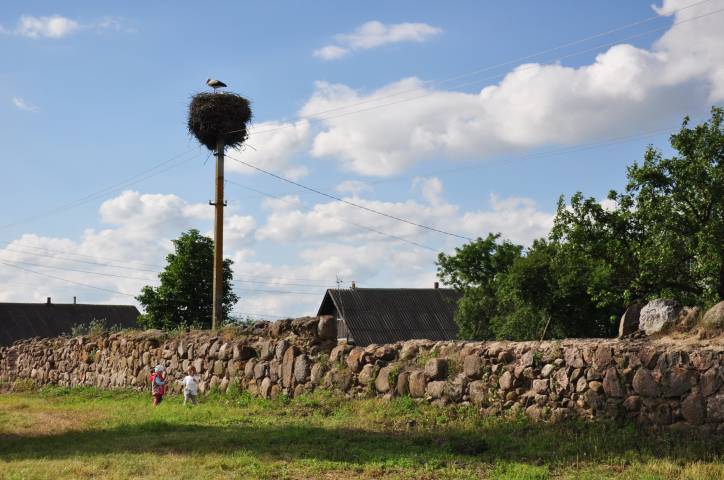 Aborak (Pałačany). Catholic church of the Assumption of the Blessed Virgin Mary and St. Roch