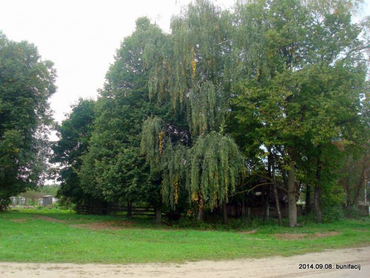  - Касцёл Апекі Маці Божай. 