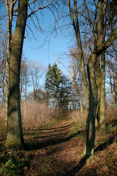  - Manor park Iłask. In the park