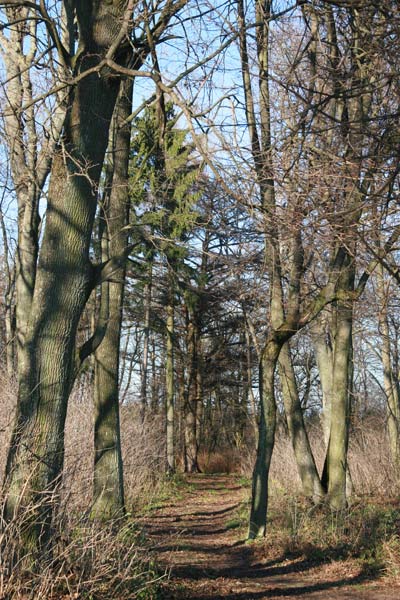  - Manor park Iłask. In the park