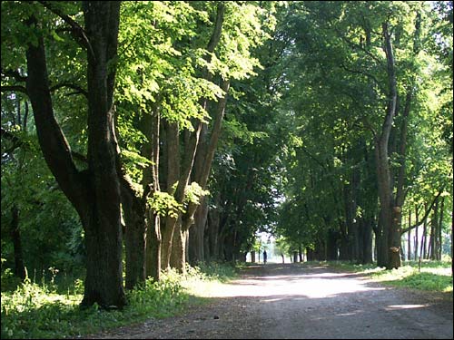 Gruszówka. Krajobrazy 
