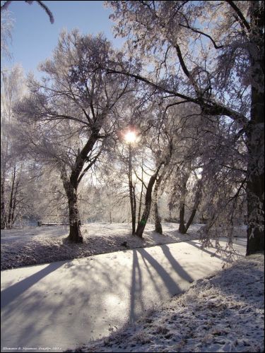 Zdraŭnieva (Kojtava). Landscapes