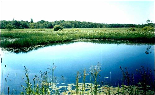 Klemensów. Folwark Kijakowskich